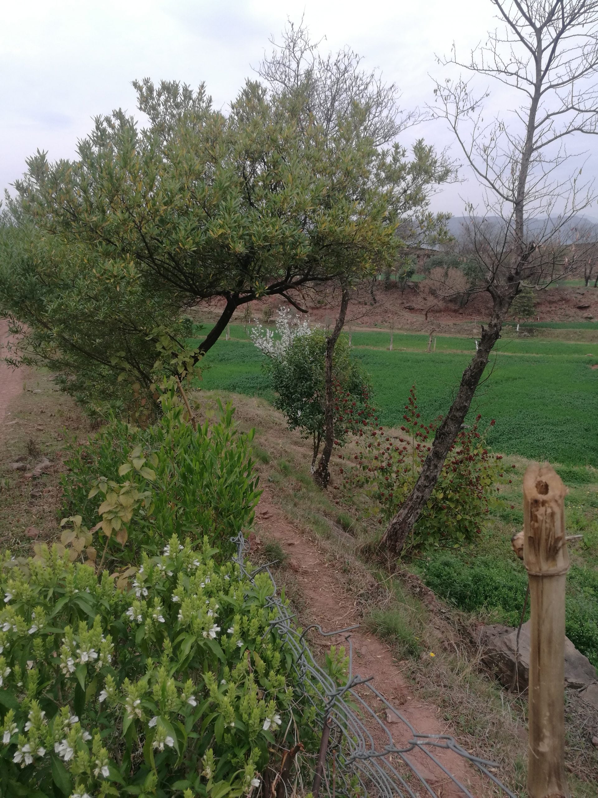 10 Kanal Land For Farm House in Pkr 3 crore On Simli Dam Road Near Naval Farms and Bahria Enclave Islamabad For sale