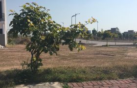 Bahria Enclave 5 marla Plot For Sale Direct Owner Deal Bahria Enclave 5 marla Plot For Sale Direct Owner Deal